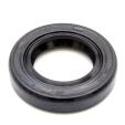 Gasket ring-PIAGGIO GROUP-1