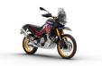 TUAREG 660 RALLY E5+-APRILIA-4