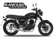 HANWAY RAW 250-HANWAY-1